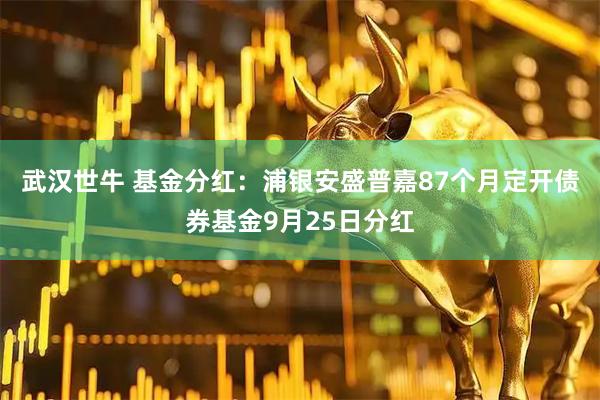 武汉世牛 基金分红：浦银安盛普嘉87个月定开债券基金9月25日分红