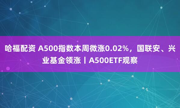 哈福配资 A500指数本周微涨0.02%，国联安、兴业基金领涨丨A500ETF观察