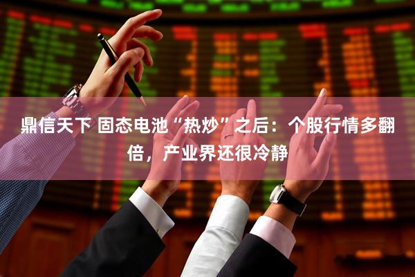 鼎信天下 固态电池“热炒”之后：个股行情多翻倍，产业界还很冷静