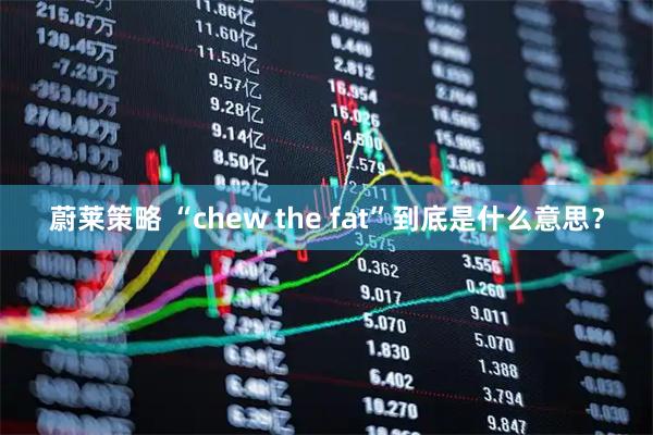蔚莱策略 “chew the fat”到底是什么意思？