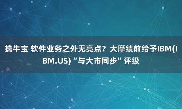 擒牛宝 软件业务之外无亮点？大摩绩前给予IBM(IBM.US)“与大市同步”评级