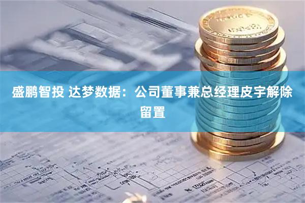 盛鹏智投 达梦数据：公司董事兼总经理皮宇解除留置