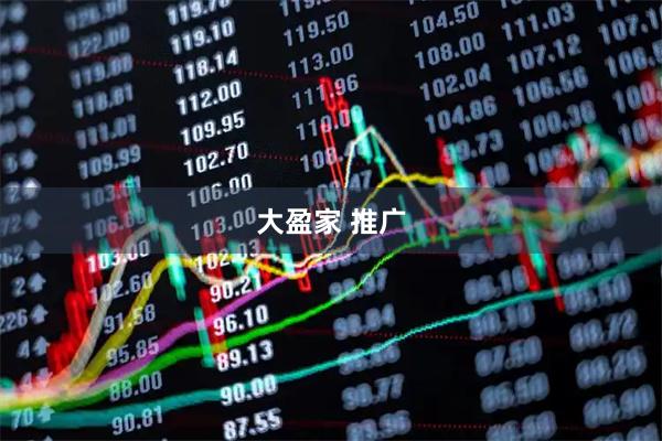 大盈家 推广